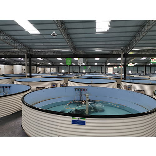 工厂化循环水养殖设备服务商 引领水产养殖新纪元，个人商务服务的智能化升级